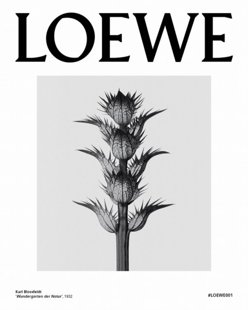 loewe 001 man milano gentsome.jpg